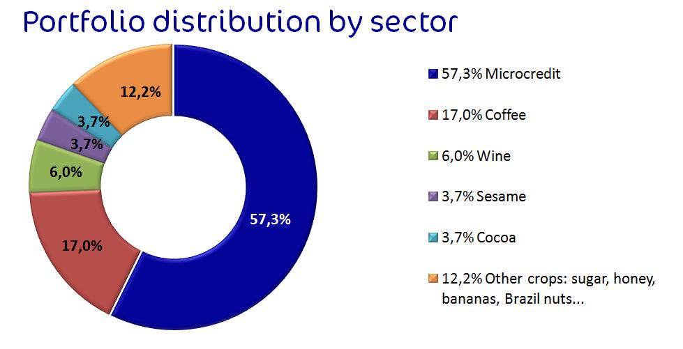 Portfolio distribution by sector 2013