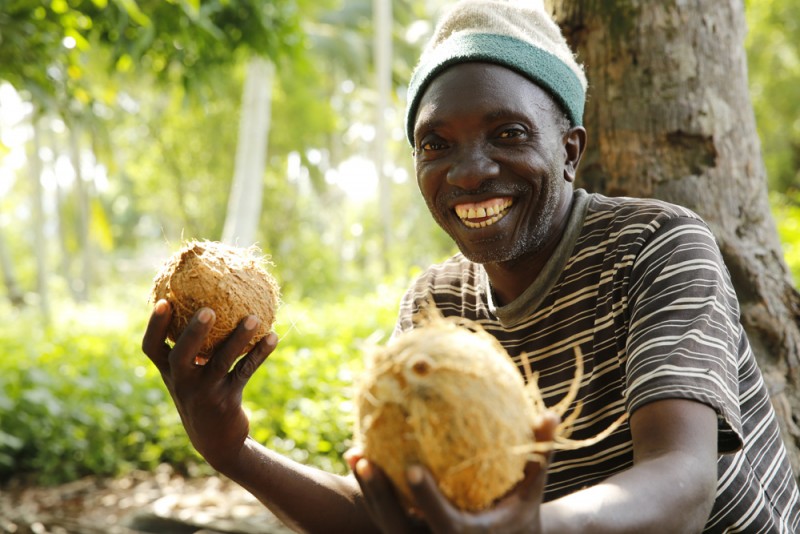 Kwale Au Kenya Un Partenaire Qui Secoue Le Cocotier Alterfin